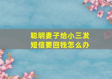 聪明妻子给小三发短信要回钱怎么办