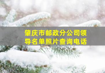 肇庆市邮政分公司领导名单照片查询电话