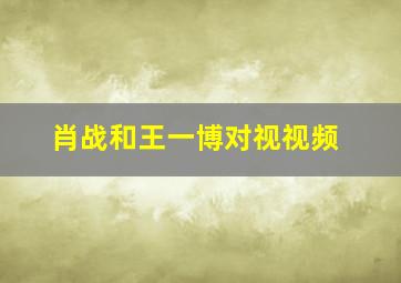 肖战和王一博对视视频