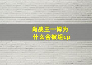 肖战王一博为什么会被组cp