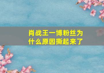 肖战王一博粉丝为什么原因撕起来了