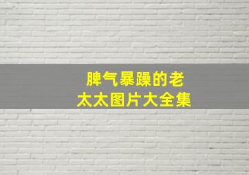 脾气暴躁的老太太图片大全集