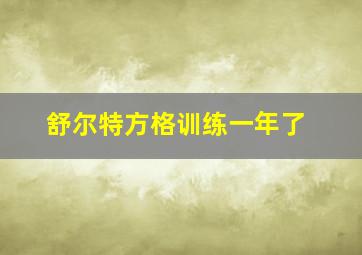 舒尔特方格训练一年了