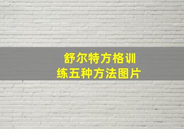 舒尔特方格训练五种方法图片