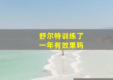 舒尔特训练了一年有效果吗