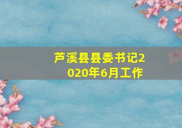 芦溪县县委书记2020年6月工作