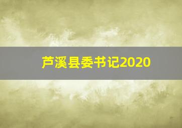 芦溪县委书记2020