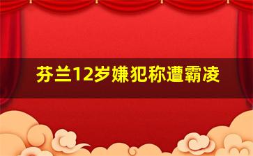 芬兰12岁嫌犯称遭霸凌