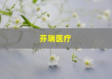 芬瑞医疗