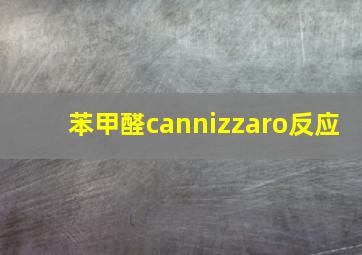 苯甲醛cannizzaro反应