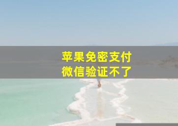 苹果免密支付微信验证不了