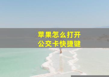 苹果怎么打开公交卡快捷键