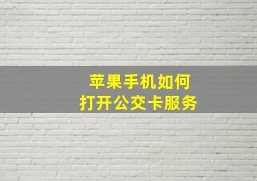 苹果手机如何打开公交卡服务