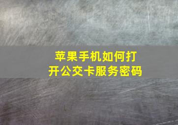 苹果手机如何打开公交卡服务密码