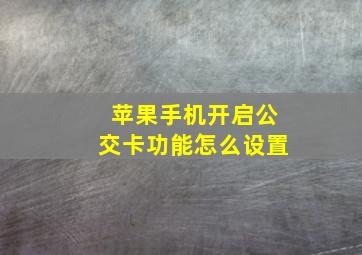 苹果手机开启公交卡功能怎么设置