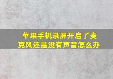 苹果手机录屏开启了麦克风还是没有声音怎么办