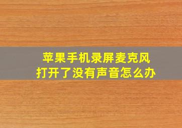 苹果手机录屏麦克风打开了没有声音怎么办