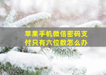 苹果手机微信密码支付只有六位数怎么办