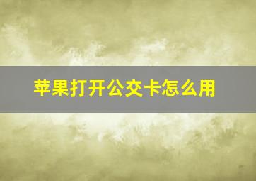 苹果打开公交卡怎么用