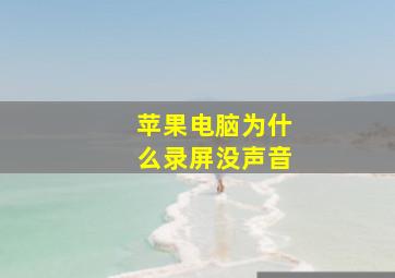 苹果电脑为什么录屏没声音