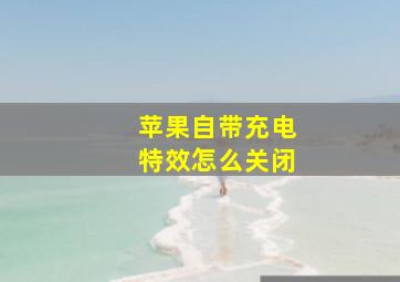 苹果自带充电特效怎么关闭