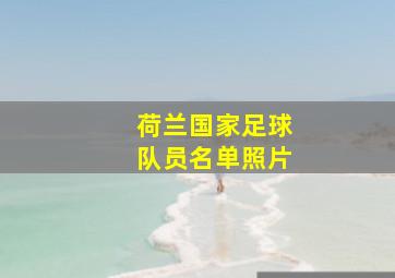 荷兰国家足球队员名单照片