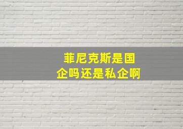 菲尼克斯是国企吗还是私企啊