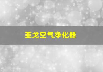 菲戈空气净化器