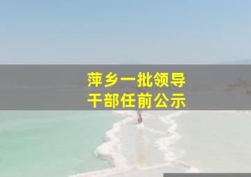 萍乡一批领导干部任前公示