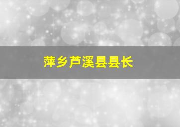 萍乡芦溪县县长