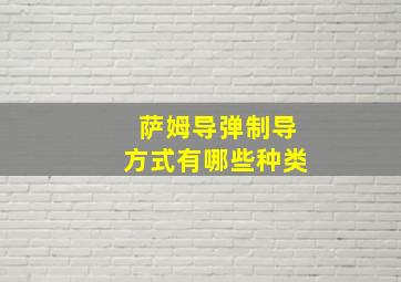 萨姆导弹制导方式有哪些种类