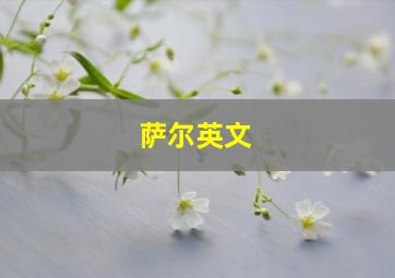 萨尔英文