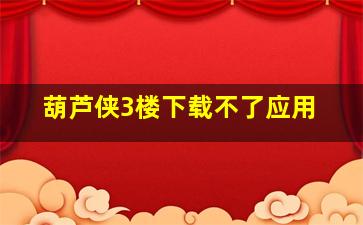 葫芦侠3楼下载不了应用