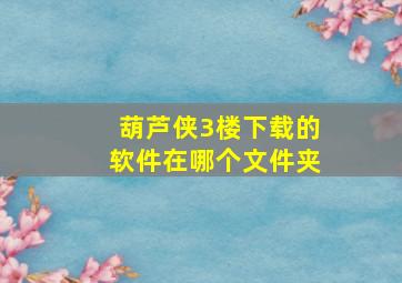 葫芦侠3楼下载的软件在哪个文件夹