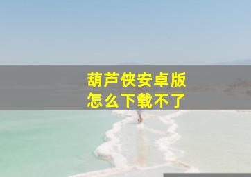 葫芦侠安卓版怎么下载不了