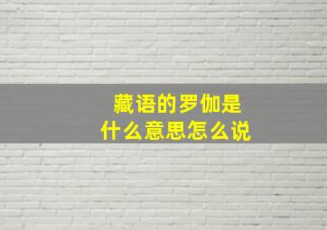 藏语的罗伽是什么意思怎么说