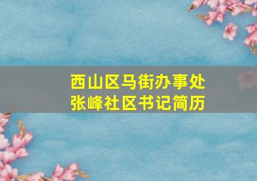 西山区马街办事处张峰社区书记简历