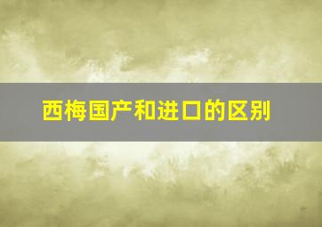 西梅国产和进口的区别