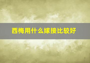 西梅用什么嫁接比较好