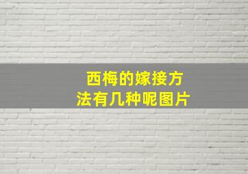 西梅的嫁接方法有几种呢图片