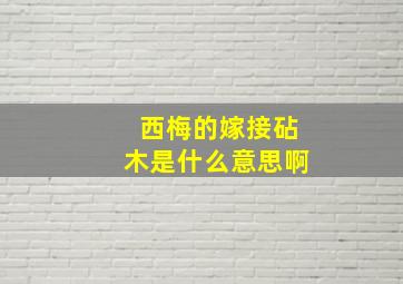 西梅的嫁接砧木是什么意思啊