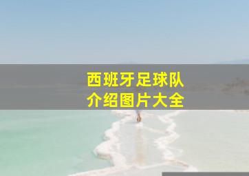 西班牙足球队介绍图片大全