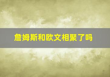 詹姆斯和欧文相聚了吗