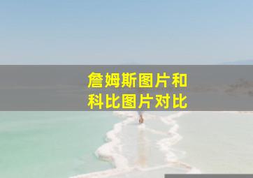 詹姆斯图片和科比图片对比