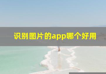 识别图片的app哪个好用