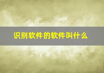 识别软件的软件叫什么