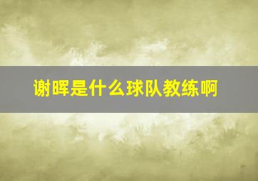 谢晖是什么球队教练啊