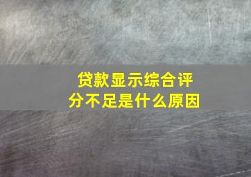 贷款显示综合评分不足是什么原因