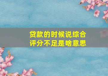 贷款的时候说综合评分不足是啥意思