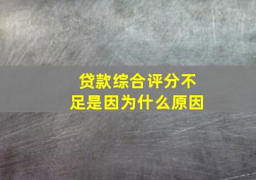 贷款综合评分不足是因为什么原因